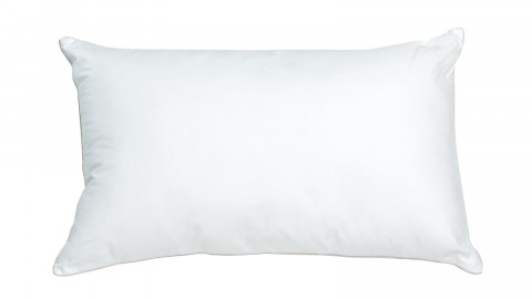 OREILLER DUVET ET PLUMETTES 45X70